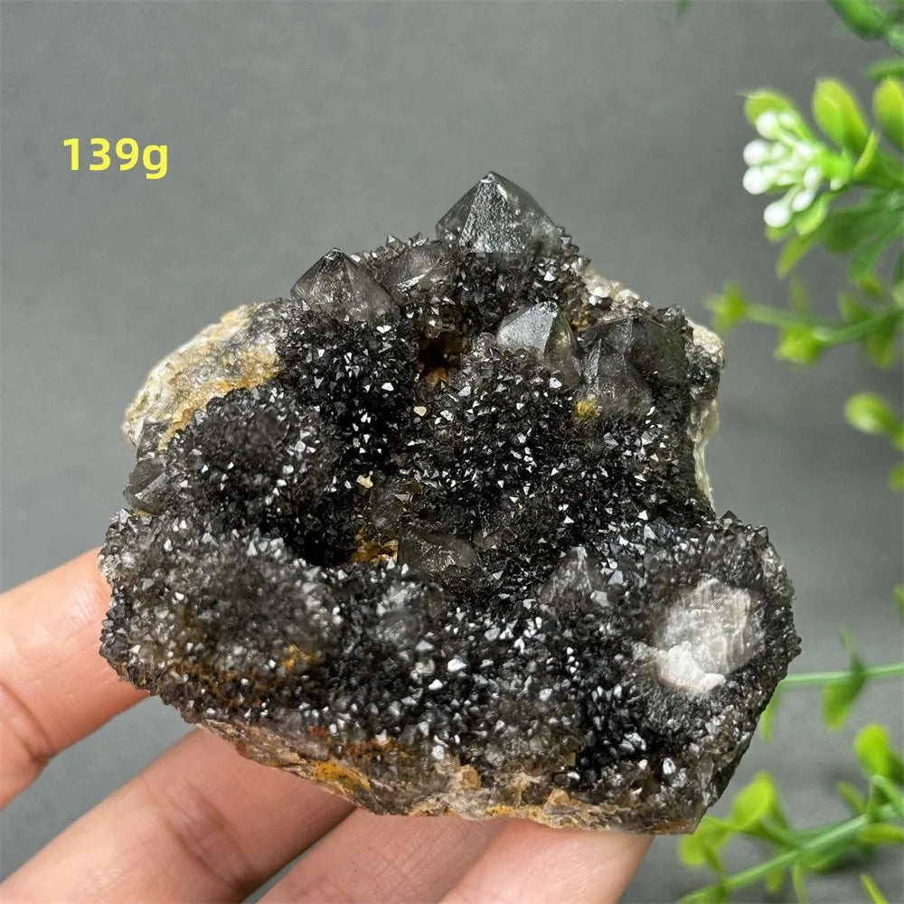 Natural Rare Black Cactus Quartz Cluster
