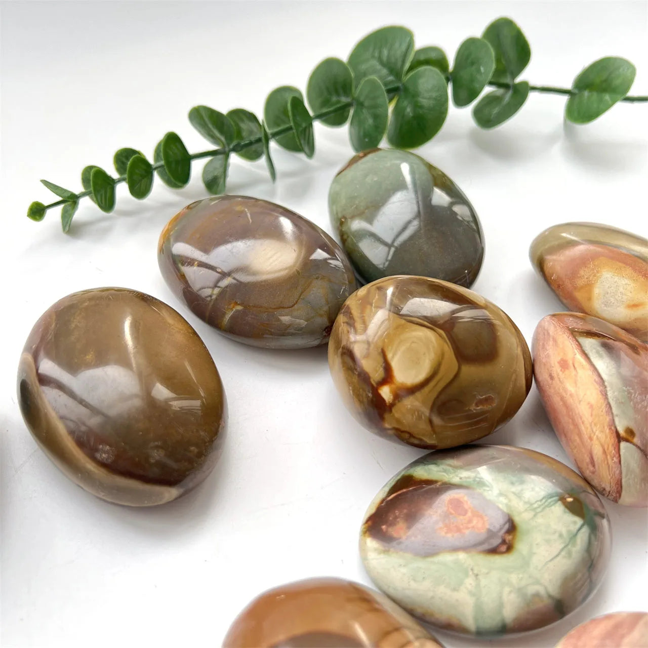 Jaspe polychrome Ocean Palmstone 