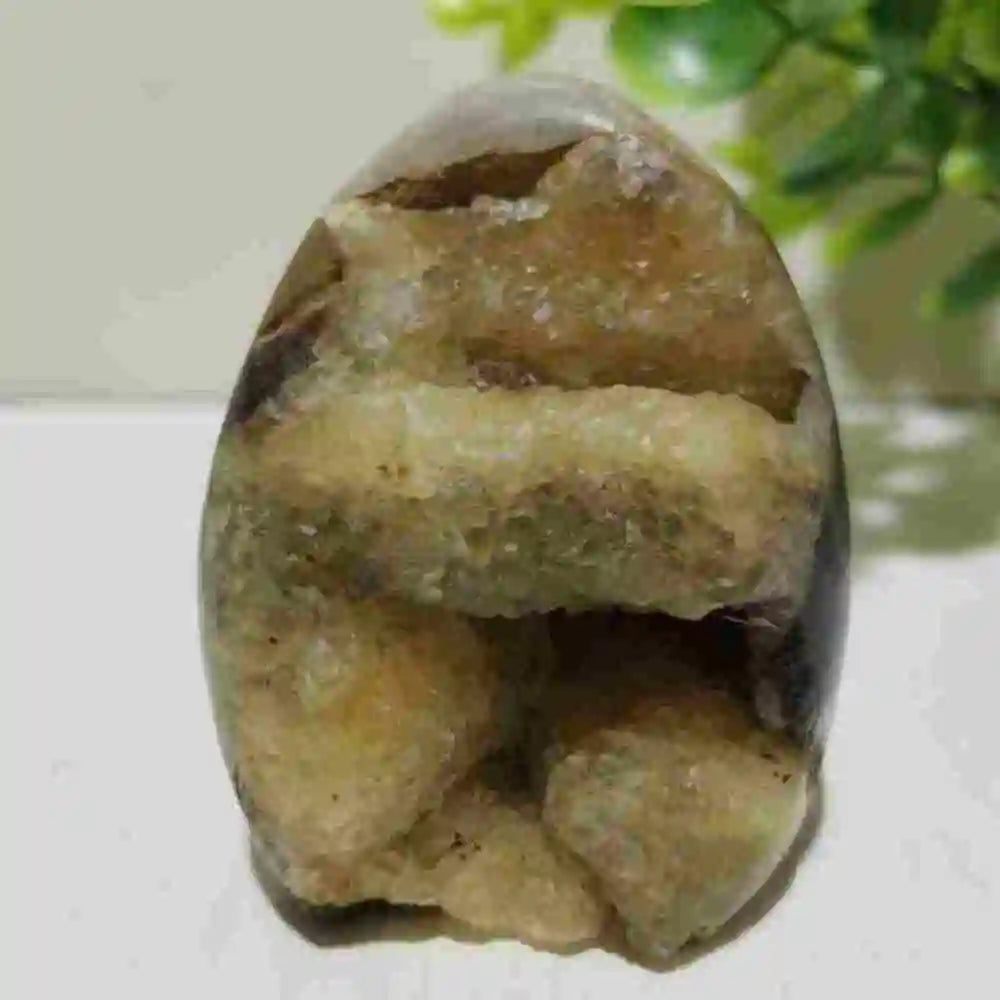 Natural Septarian Geode Freeform Cluster