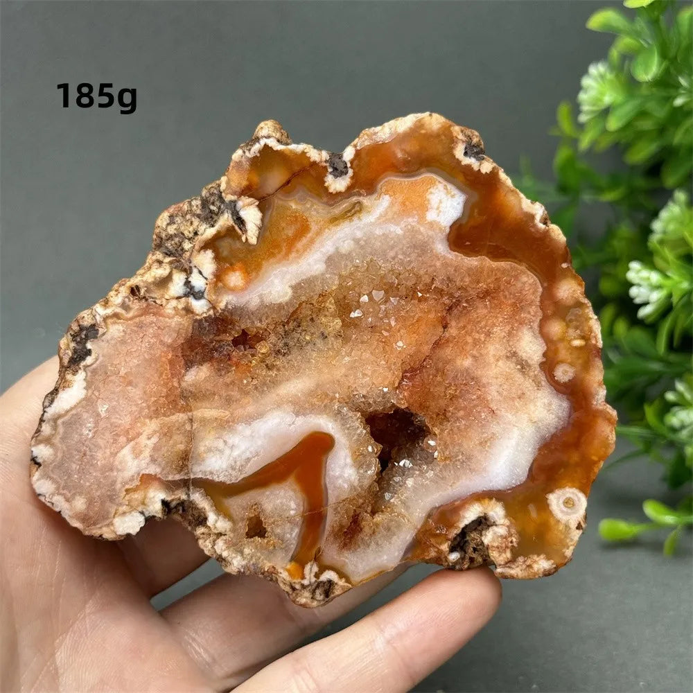 Natural Red Cherry Blossom Agate Geode Slab