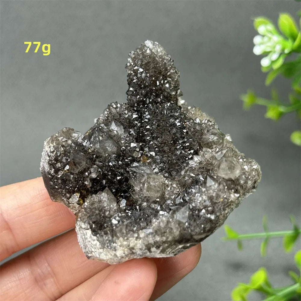 Natural Rare Black Cactus Quartz Cluster