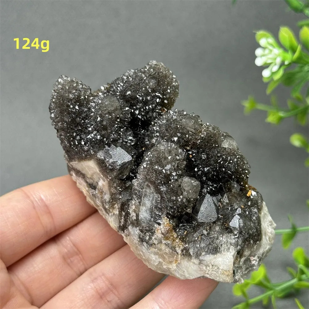 Natural Rare Black Cactus Quartz Cluster