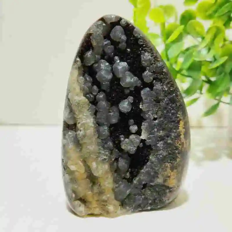 Natural Septarian Geode Freeform Cluster