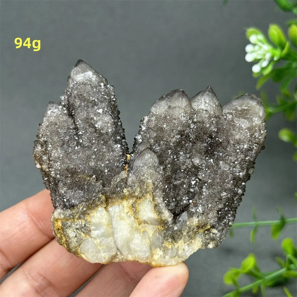 Natural Rare Black Cactus Quartz Cluster