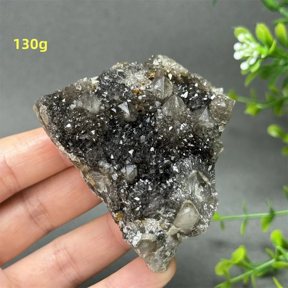 Natural Rare Black Cactus Quartz Cluster