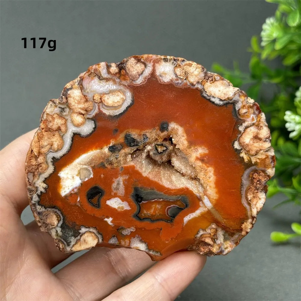 Natural Red Cherry Blossom Agate Geode Slab