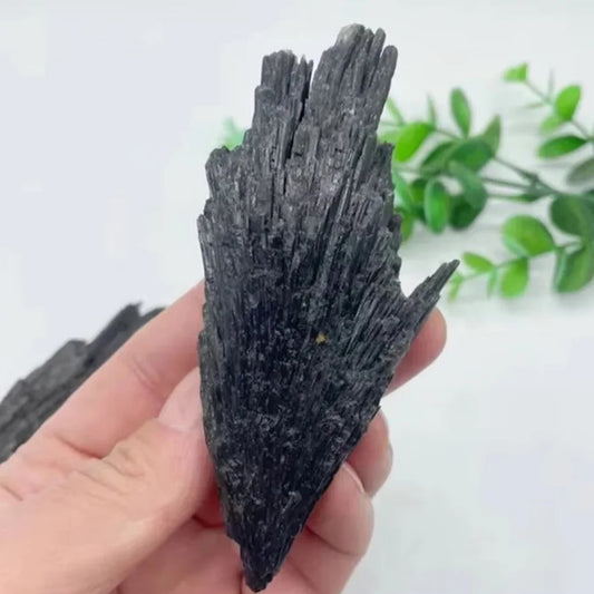 Natural Black Tourmaline Feather Specimen