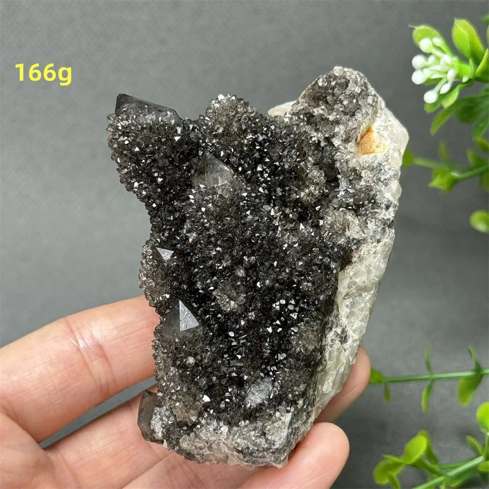 Natural Rare Black Cactus Quartz Cluster