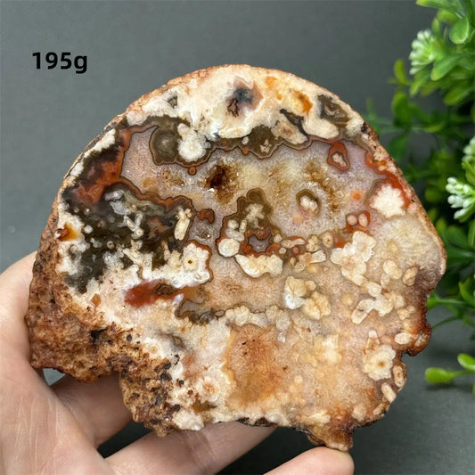 Natural Red Cherry Blossom Agate Geode Slab