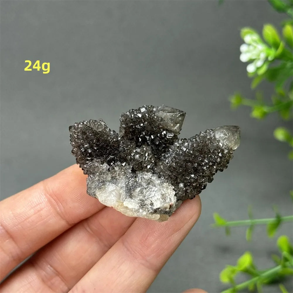Natural Rare Black Cactus Quartz Cluster