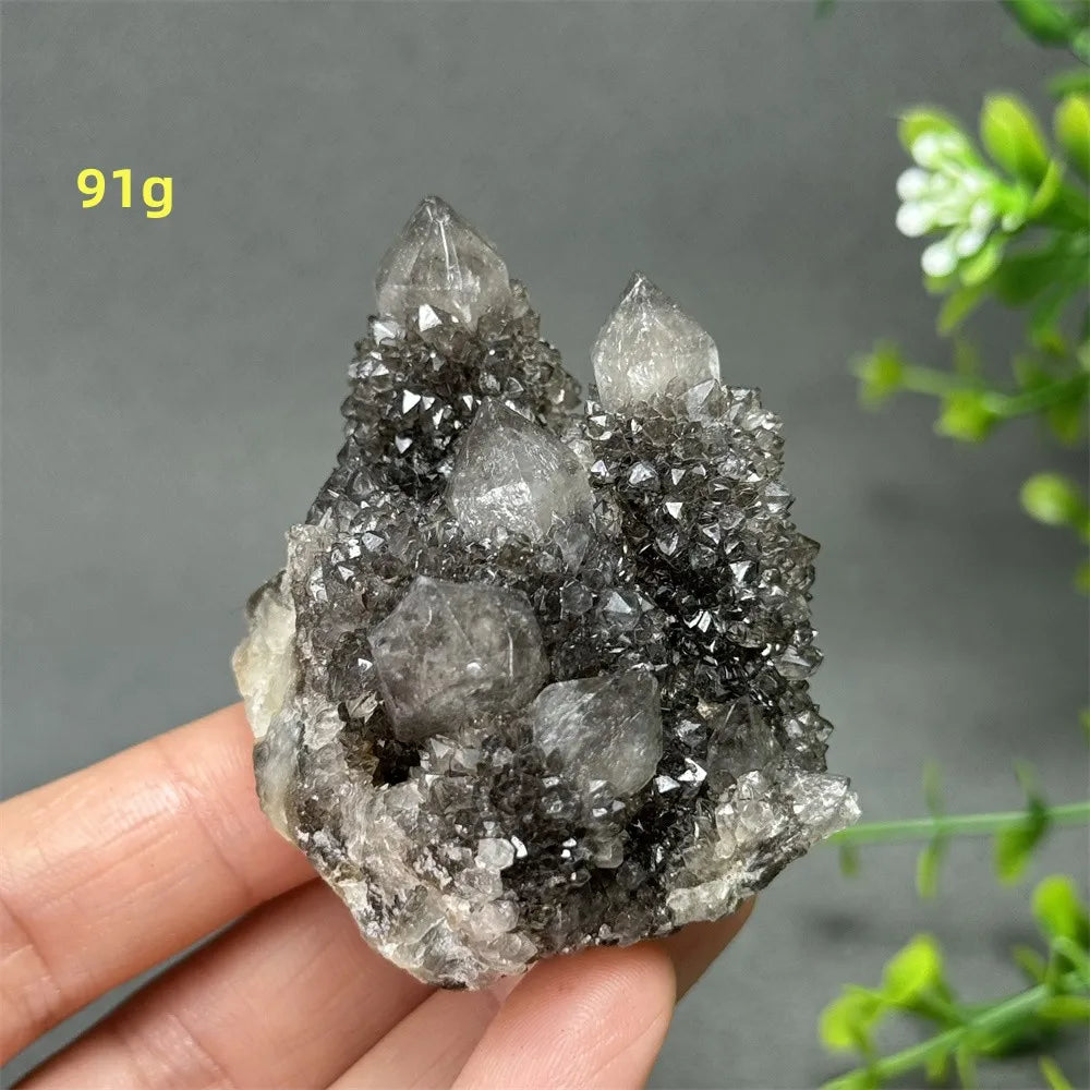 Natural Rare Black Cactus Quartz Cluster