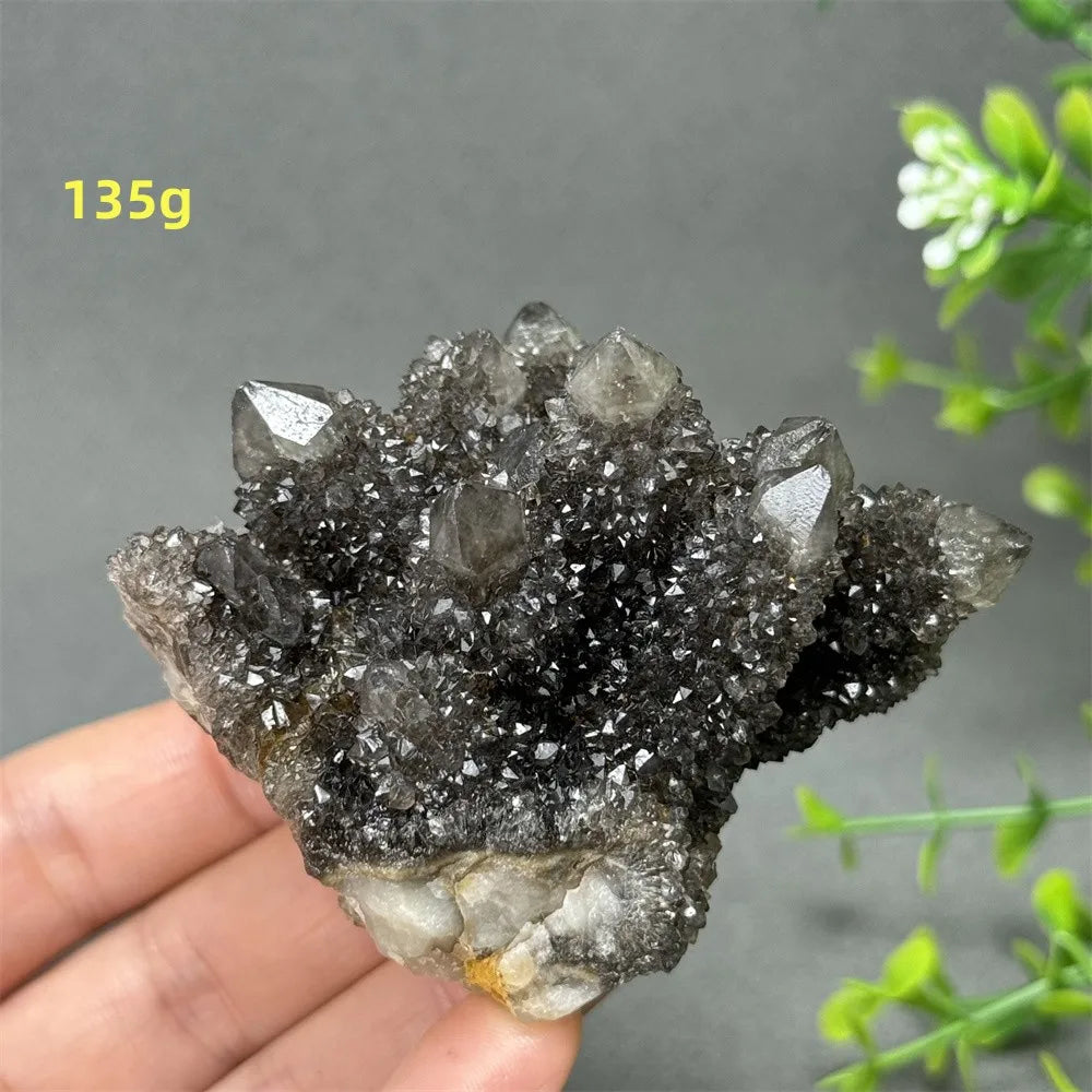 Natural Rare Black Cactus Quartz Cluster