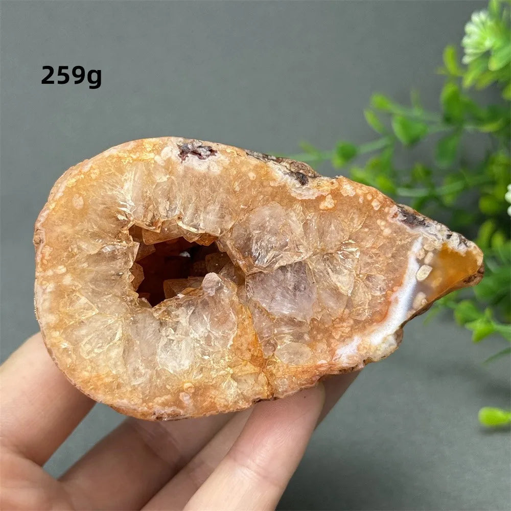 Natural Red Cherry Blossom Agate Geode Slab