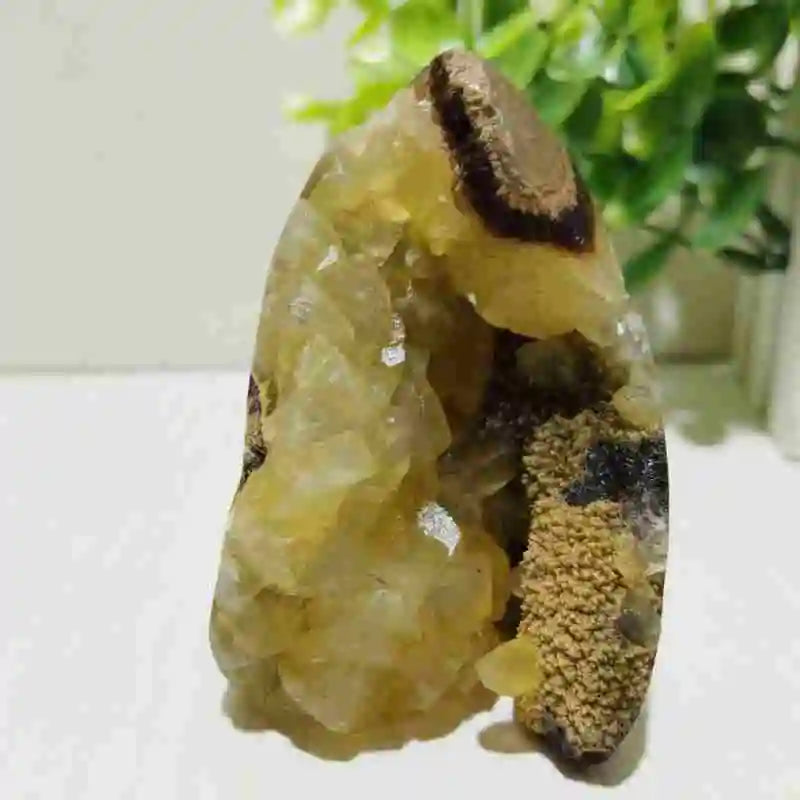Natural Septarian Geode Freeform Cluster