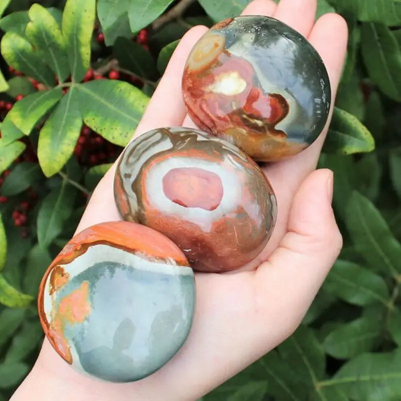 Jaspe polychrome Ocean Palmstone 