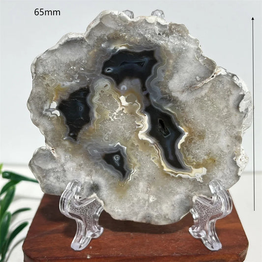 Natural Black Flower Agate Slab (With Stand)