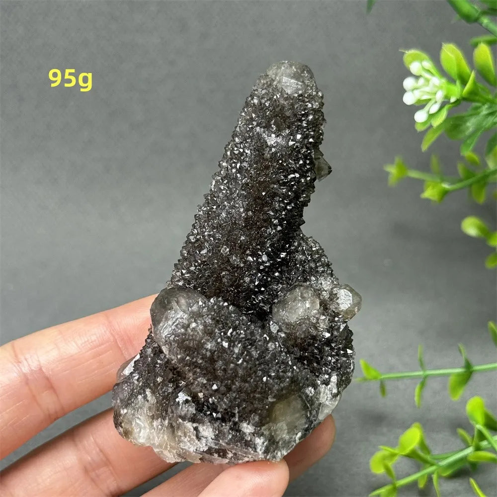 Natural Rare Black Cactus Quartz Cluster