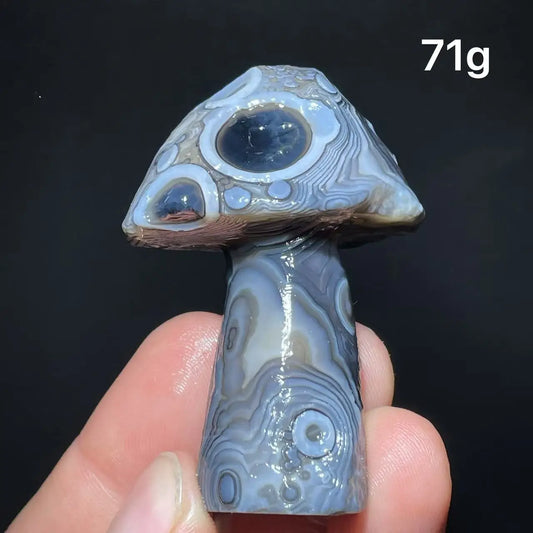 Natural Agate Mushroom Freeform Carvings