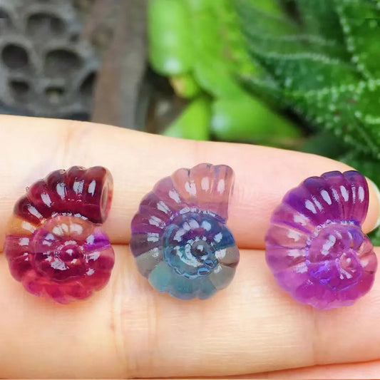 Natural Fluorite Mini Ammonite Carving