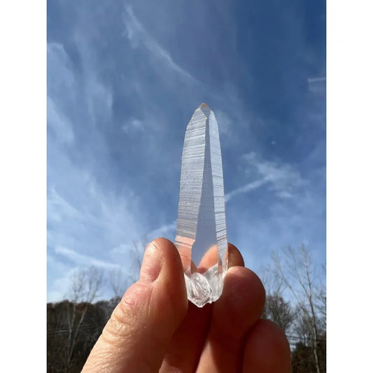 2" Lemurian Seed Crystal Point