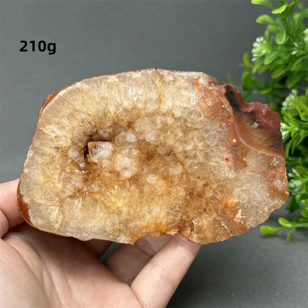 Natural Red Cherry Blossom Agate Geode Slab
