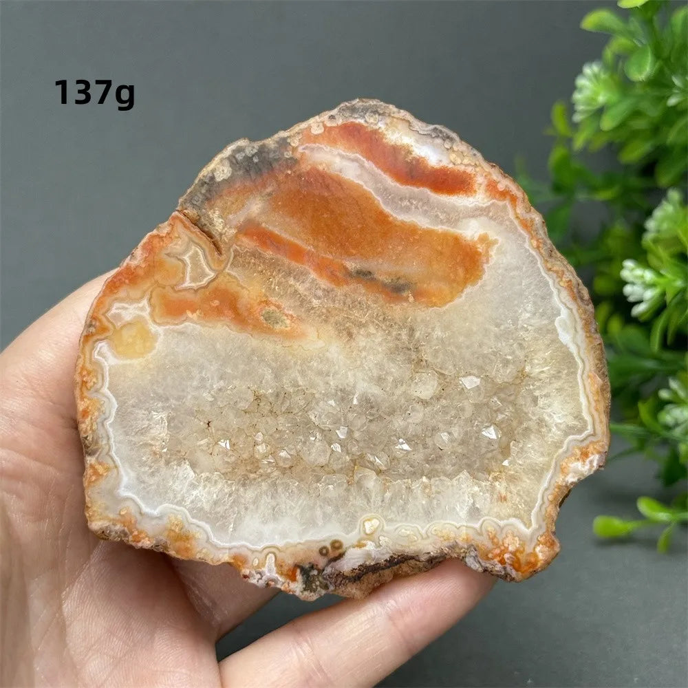 Natural Red Cherry Blossom Agate Geode Slab