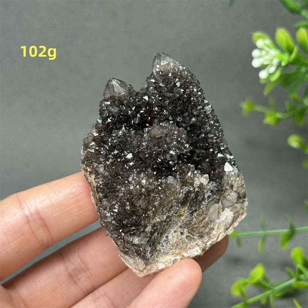 Natural Rare Black Cactus Quartz Cluster