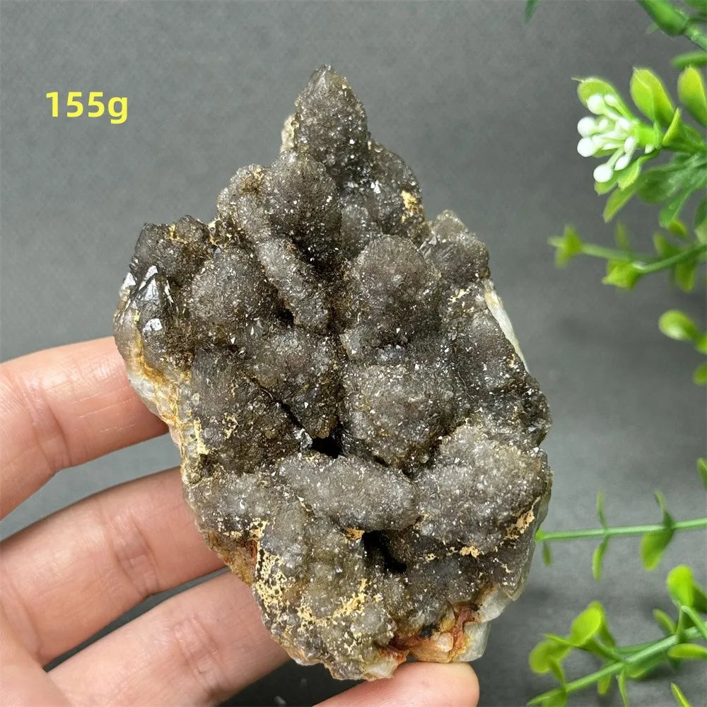 Natural Rare Black Cactus Quartz Cluster