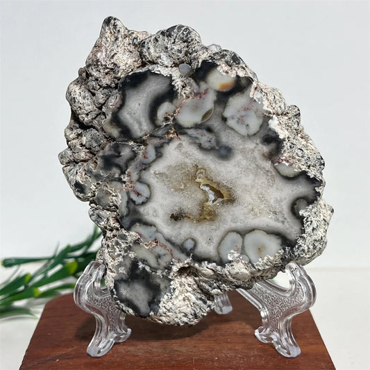 Natural Black Flower Agate Slab (With Stand)